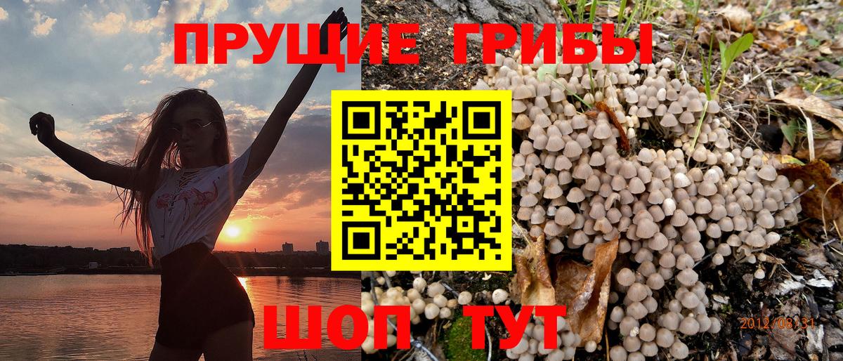 что такое наркотик  Вход с VPN  Нягань  Псилоцибиновые грибы MAGIC MUSHROOMS 